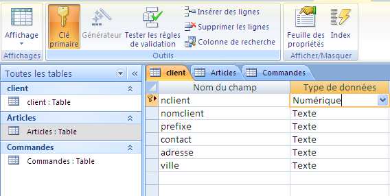 Introduction aux bases de donnees informatiques