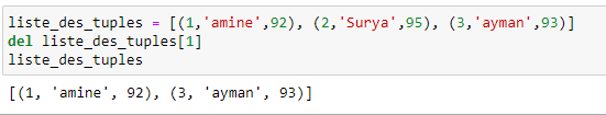 Tuto Python Créer Et Manipuler Une Liste Des Tuples Tutoriel Python