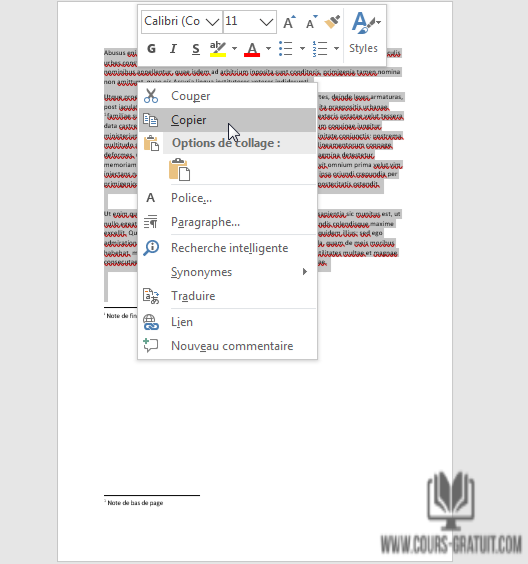 Tutoriel Word Comment Dupliquer Une Page